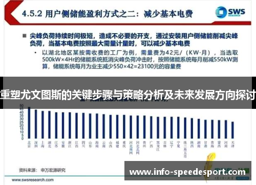 重塑尤文图斯的关键步骤与策略分析及未来发展方向探讨 重塑尤文图斯的关键步骤与策略分析及未来发展方向探讨