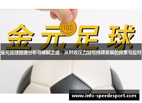 金元足球困境分析与破解之道：从财政压力到可持续发展的探索与应对